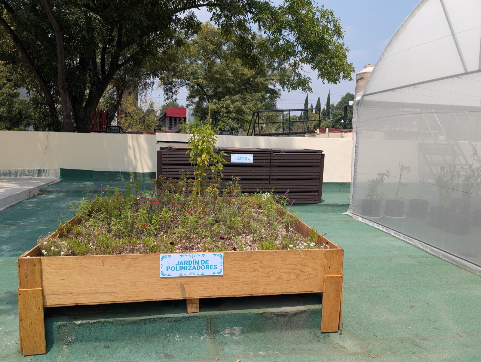 Pollinator garden next to the greenhouse